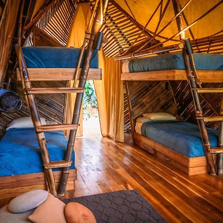 Jungle Gayborhood Hotel And Retreat Center San Luis  Buitenkant foto