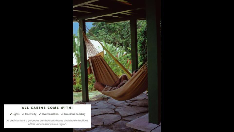 Jungle Gayborhood Hotel And Retreat Center San Luis  Buitenkant foto