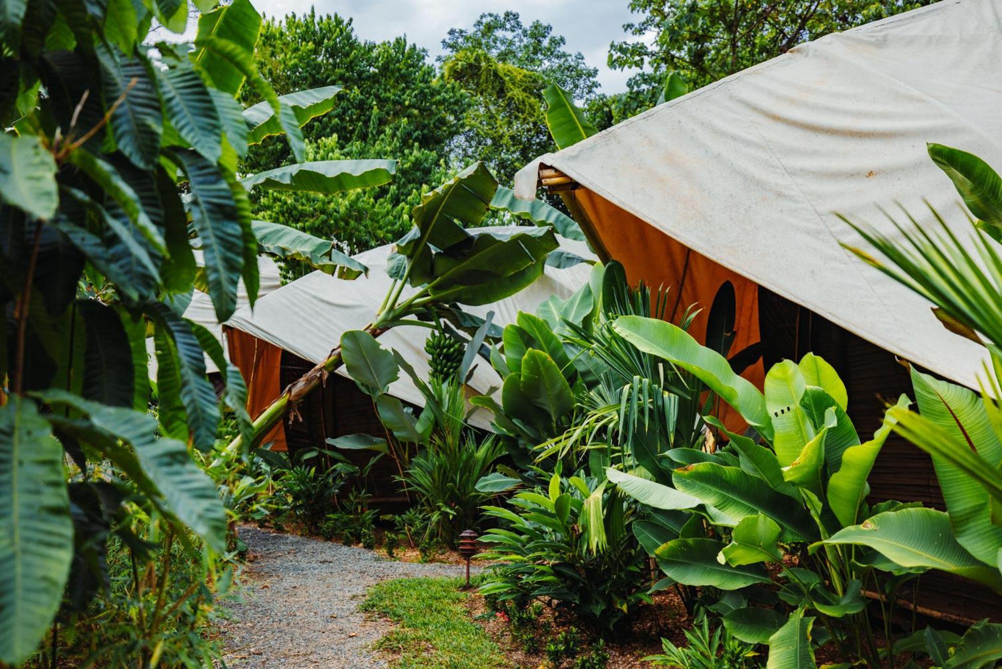 Jungle Gayborhood Hotel And Retreat Center San Luis  Buitenkant foto